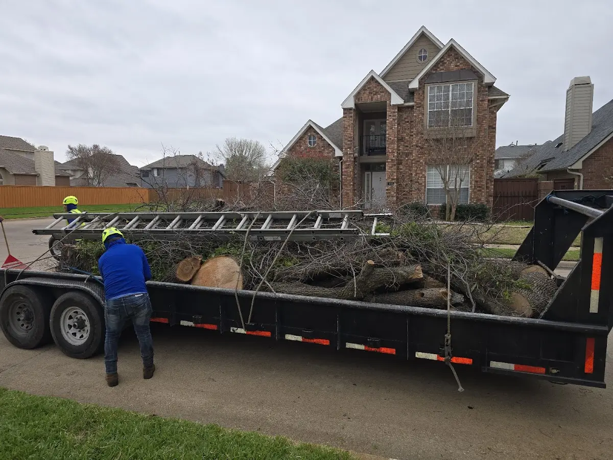 Expert Lot Clearing with proper safety equipment in Buhl